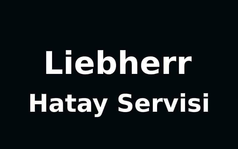 Hatay Liebherr Servisi